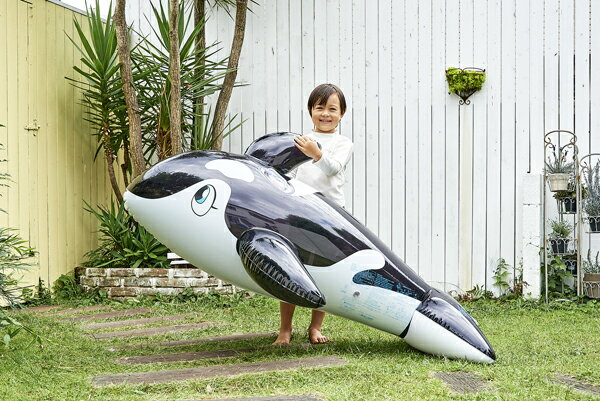 リアルな海の人気者フロート シャチフロート クリアブラック 浮き輪 浮輪 うきわ ...