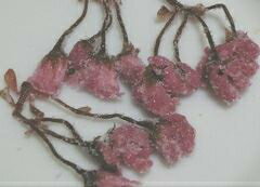 ■　桜の花　30g■ 塩漬け ■神奈川県産【和菓子材料】桜の