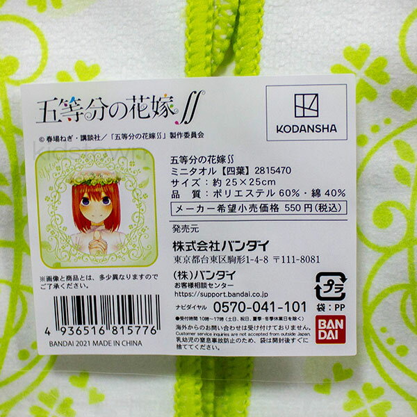 ����ʬ�βֲǢ� �ߥ˥����� ��25��25cm ������ ������