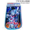 ウルトラマンブレーザー タオル 2枚組 約10×20cm プチタオル ハンカチ ウルトラヒーローズ 2023年版