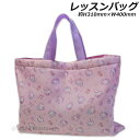 ハローキティ レッスンバッグ ピンク 約H310×W400mm ポリエステル100% 手提げバッグ トートバッグ HELLO KITTY 2024‐2025年