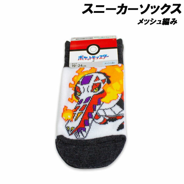 Rakuten - ポケモン メッシュ編み スニーカーソックス ラウドボーン柄 15-20cm 19-24cm 靴下 ソックス ポケットモンスター Pocket Monsters キャラクター 2026年