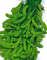 　　　　　【枝豆種子】おつな姫　枝豆　1dl　　　 茶豆風味で3粒莢率の高い白毛早生枝豆！ 【主なご購入者】家庭菜園向け商品 【栽培のしやすさ】★ ★ （中級者向） 【種まき時期】 4-6月 ※種まき時期は関東を標準とした目安です 【ワンポ...