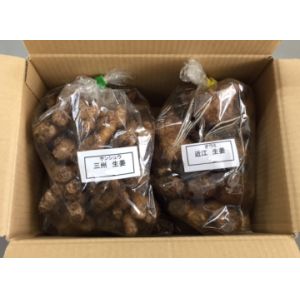 国産・千葉県産　種ショウガ（近江生姜1kg＆三州生姜1kg）食べ比べセット