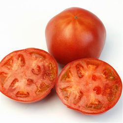 トマト種子 トキタ種苗 豊作祈願（ほうさくきがん）1102 1000粒