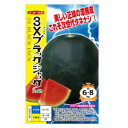 種なしすいか種子 ナント種苗 3Xブラックジャック 100粒