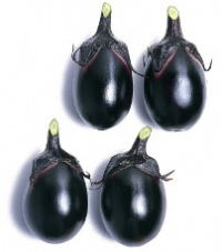 なす種子 渡辺採種場 秋田系梵天丸　20ml