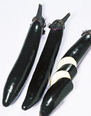 Rakuten - なす種子　サカタのタネ　飛天長　小袋