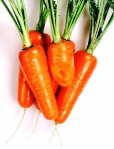 �ͻ���ҡ����ͥ����ġ��ҤȤ߸������ڥ�å�10000γ