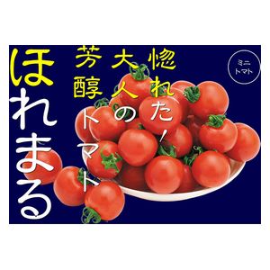 ミニトマト種子　渡辺農事　ほれまる　500粒