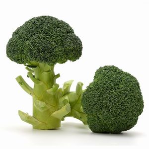 ブロッコリー種子　ヴィルモランみかど　りんな　ペレット種子5000粒