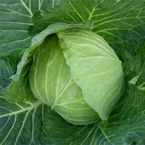 ����٥ļ�ҡ���������������餫��������5000γ