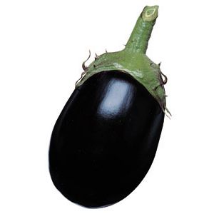 ナス種子　タキイ種苗　くろわし　2000粒