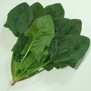 ほうれん草種子　渡辺農事　ピクシー　1dl