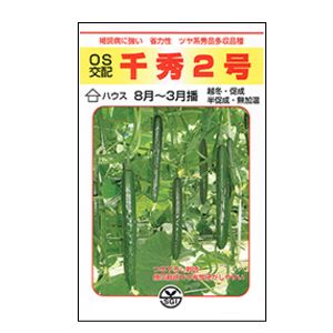きゅうり種子　埼玉原種　千秀2号　350粒