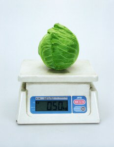 Rakuten - キャベツ種子　カネコ種苗　爽月2号　20ml