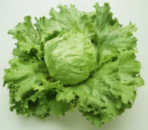 �쥿����ҡ����ͥ����ġ��ȥꥬ�����ڥ�å�5000γ