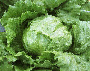 �쥿����ҡ����ͥ����ġ��С�����󡡥ڥ�å�5000γ