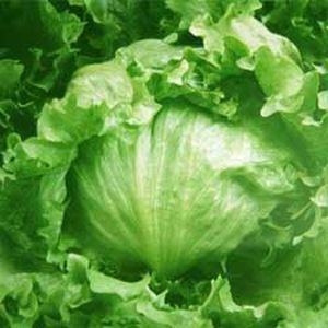 �쥿����ҡ�������������ȥ��󡡥�����5000γ