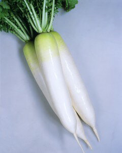 �纬��ҡ����ͥ����ġ�YRľ�����ڥ�å�5000γ