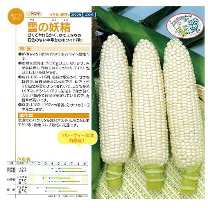 とうもろこし種子 トーホク 雪の妖精 2000粒
