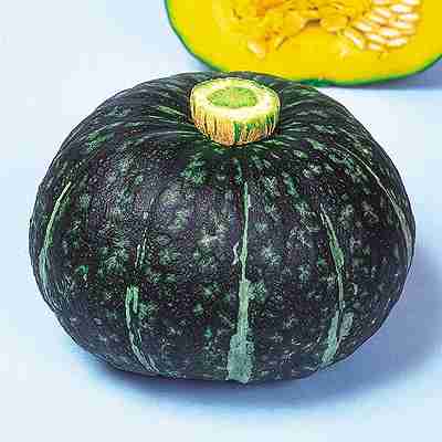 南瓜種子　 中原採種場　 とみふく　 500粒