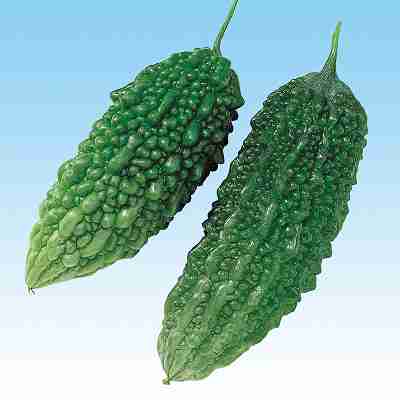 Rakuten - 苦瓜種子　 中原採種場　 あばしゴーヤ　 20ml