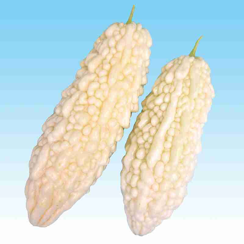 Rakuten - 苦瓜種子　 中原採種場　 沖縄白ゴーヤ　 1L