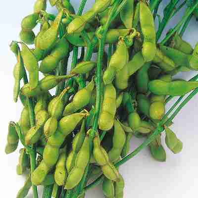 e-ͤ㤨Ʀҡ 渶μ졡 Ʀ ޡ35mlˡפβǤʤ360ߤˤʤޤ