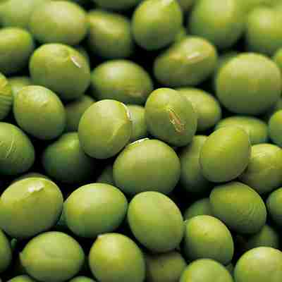 Rakuten - 豆類種子　 中原採種場　 キヨミドリ　 1dl