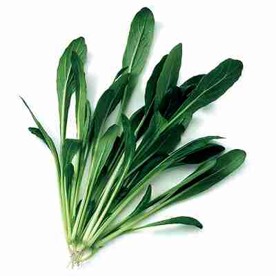 Rakuten - ベビーリーフ 葉物種子　 中原採種場　 中生壬生菜　 1dl