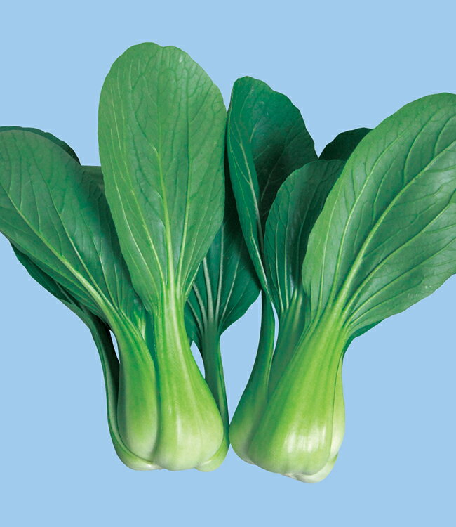 中国野菜種子　 野崎採種場　 涼双子　 20ml