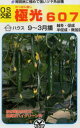 キュウリ種子 埼玉原種育成会 極光607 350粒