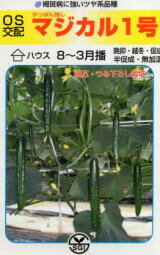 Rakuten - キュウリ種子 埼玉原種育成会 マジカル1号 350粒