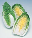 【ミニ白菜種子】 【タキイ種苗】 野菜の種 CRお黄にいり ペレット種子100粒