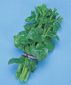 野菜種子 タキイ種苗 つるむらさき 小袋のサムネイル