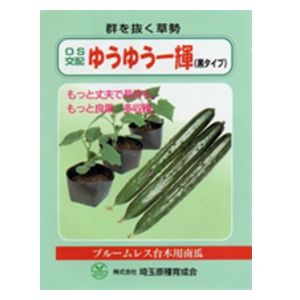 スタミナとパワーで差が付く安心栽培！！ 乾きやすい圃場。長期栽培でパワーを求める方。冬から春に芯止まりになり易い圃場向け 【キュウリ台木】 ゆうゆう一輝　黒タイプ （埼玉原種育成会）　350粒　ブルームレス台木用南瓜　 &nbsp; &nbsp; 草勢の強さ 強い 胚軸の太さ やや太い 穂木との播種間隔 （呼び接木での場合） 1〜2日遅く 乾きやすい圃場。長期栽培でパワーを求める方。 冬から春に芯止まりになり易い圃場。 耐寒性もあり、悪条件に強い。露地栽培OK。 &nbsp; &nbsp;こちらの商品は、メーカー在庫の商品となります。 メーカー品切れの場合は、後程ご連絡差し上げます。 予めご了承頂きますよう、お願いいたします。&nbsp;プロ用・専門家向け商品