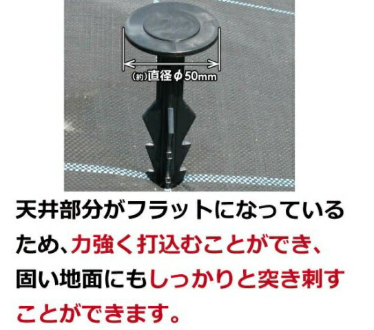 第一ビニール　シャークアンカー　長さ25cm　（20本入り） 防草シート押さえ　プラ...