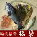 活魚の活〆　5Kg詰め合