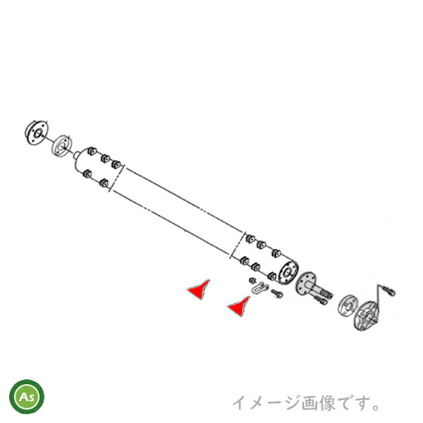 IHIスター 純正爪 フレールモア用 フレール爪T (イチョウ刃) 48枚セット