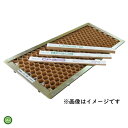 ニッテン チェーンポット CP305 150冊入 簡易移植器ひっぱりくん用