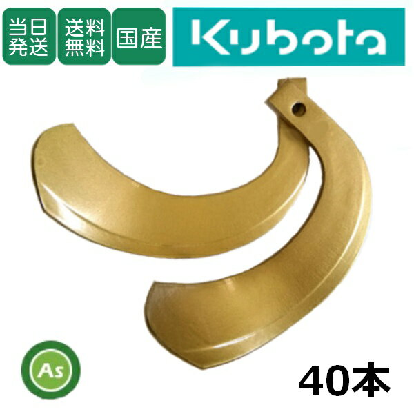【即日発送】クボタ Kubota くぼた スーパーゴールド爪 40本セット 61-120 S10 偏...