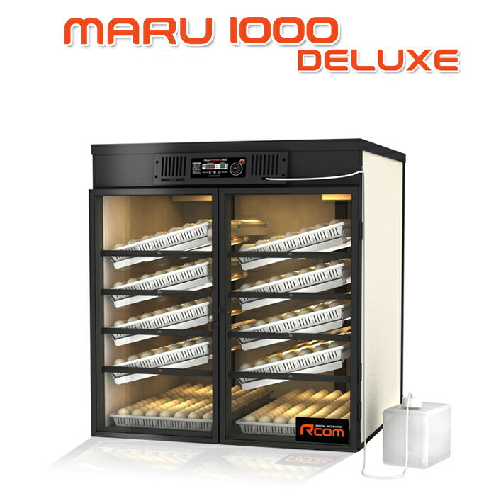 MARU1000-DELUXE̳ưʤդ