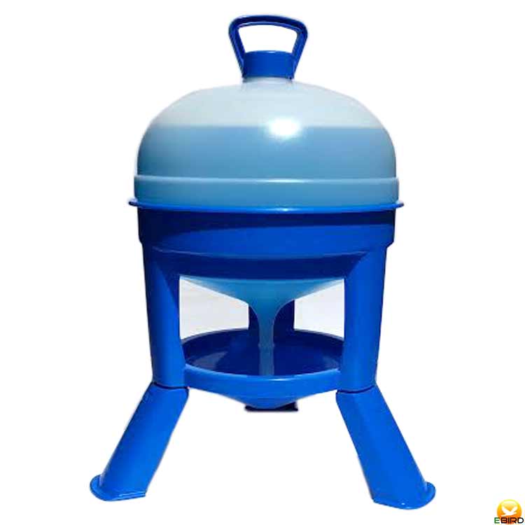 ڵĻѥۥ󼰰20Lڷܡѡ