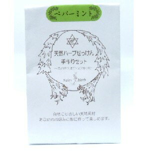 ねば塾 ハーブ石鹸手作りセット ミント