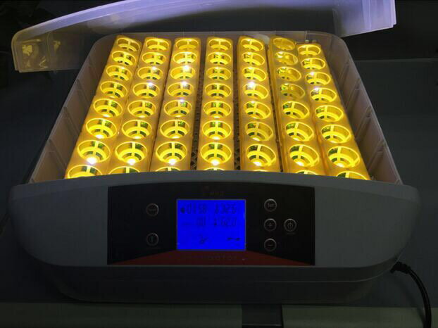 超目玉 最大56個 全自動孵卵器 孵卵機 ふ卵器 孵化器 インキュベーター Eco Future Asafan Org