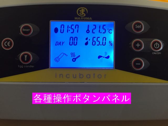 超目玉 最大56個 全自動孵卵器 孵卵機 ふ卵器 孵化器 インキュベーター Eco Future Asafan Org