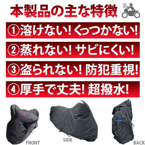 �Ϥ��ʤ��Х������С���M�������������ɿ�ù� ���ꡡ��Ǯ