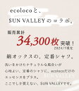 【14%OFF】オリジナル SUNVALLEY M～3L有 ecoloco別注 綿オックス シャツ レギュラー丈 綿100％ コットン／着後レビューでクーポン☆ ナチュラル 大きいサイズ ブラウス エコロコ e+, Ms,Ls,LL,3L,／ レディース 長袖 白シャツ 春 秋冬 春服 30代 40代 50代 24SS0209R,