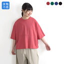 ワイドカットソー プルオーバー 半袖 Tシャツ 接触冷感 鹿の子 通気性 涼しい ひんやり／五分袖 無地 しわになりにくい ゆったり シンプル おしゃれ 体型カバー カジュアル Ms,Ls,／春 夏 レディース エコロコ sel, 23SS0622,